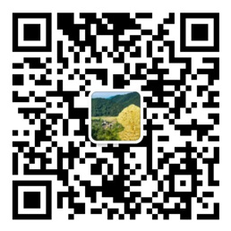 期期中下载手机版